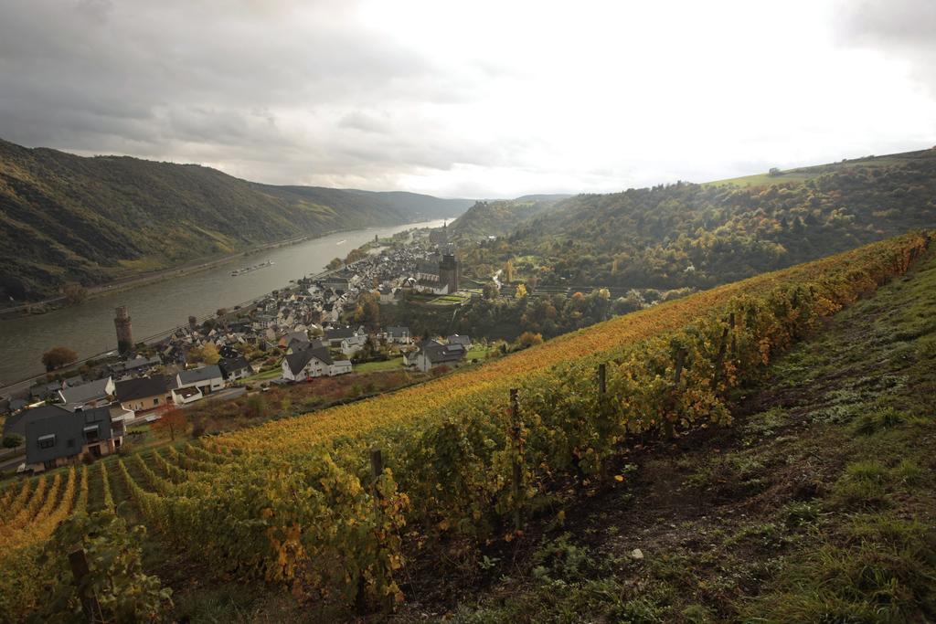 Gutsschaenke Sennerhof Hotel Oberwesel Kültér fotó