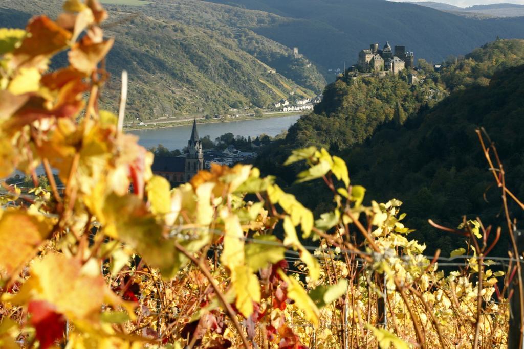 Gutsschaenke Sennerhof Hotel Oberwesel Kültér fotó